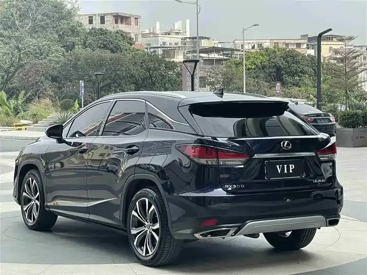 Lexus RX 2020 model modified 300 four-wheel drive elegant version 6
