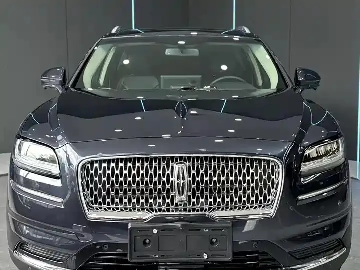 Voyager 2021 2.0T 4-wheel drive Premium Edition 2