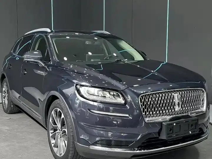 Voyager 2021 2.0T 4-wheel drive Premium Edition 3