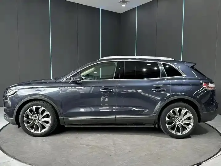 Voyager 2021 2.0T 4-wheel drive Premium Edition 4