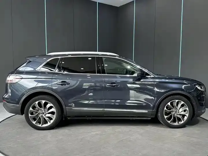 Voyager 2021 2.0T 4-wheel drive Premium Edition 5