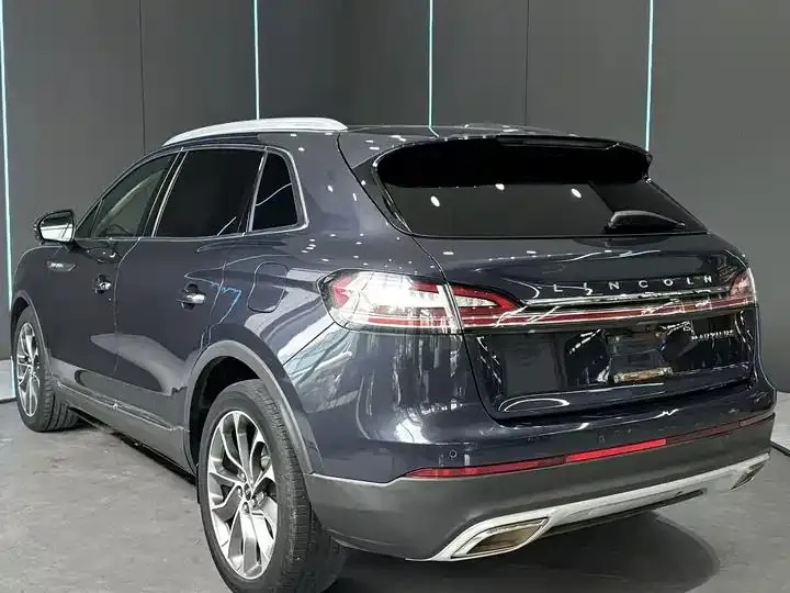 Voyager 2021 2.0T 4-wheel drive Premium Edition 8