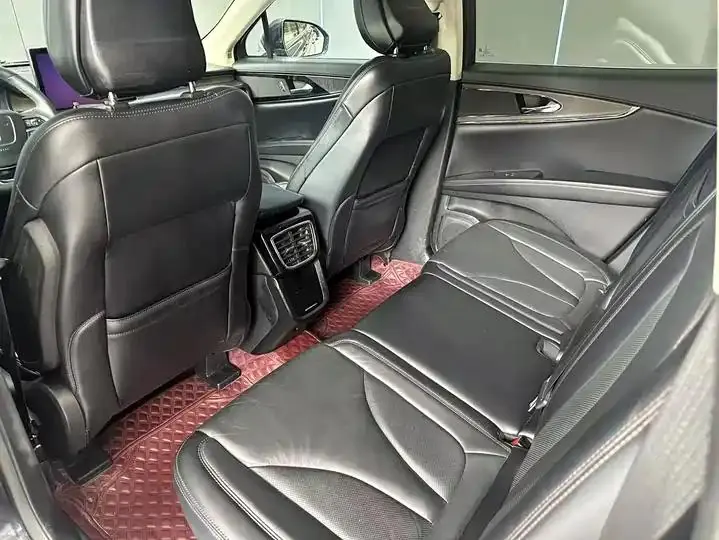 Voyager 2021 2.0T 4-wheel drive Premium Edition 9