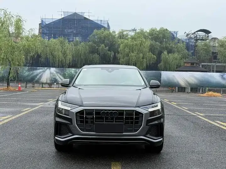 Audi Q8 2024 model, 55 TFSI Luxury Dynamic Edition 5