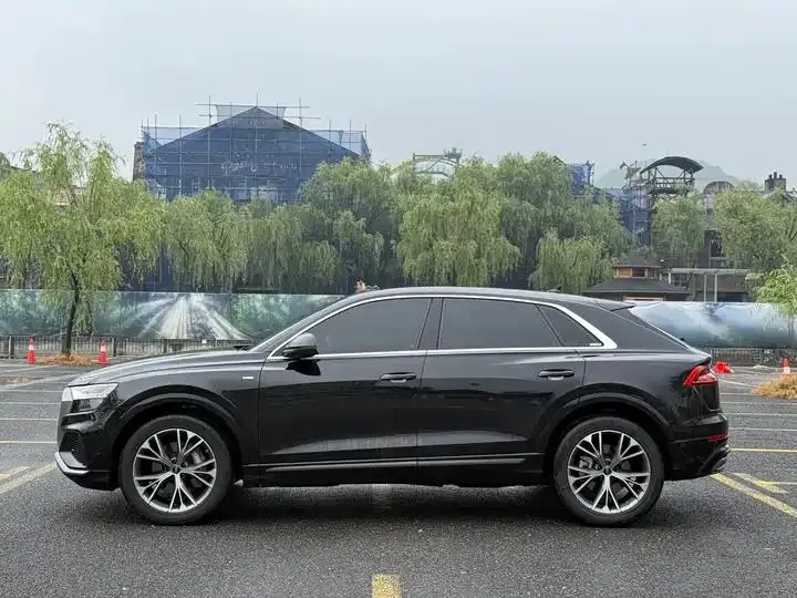Audi Q8 2024 model, 55 TFSI Luxury Dynamic Edition 6