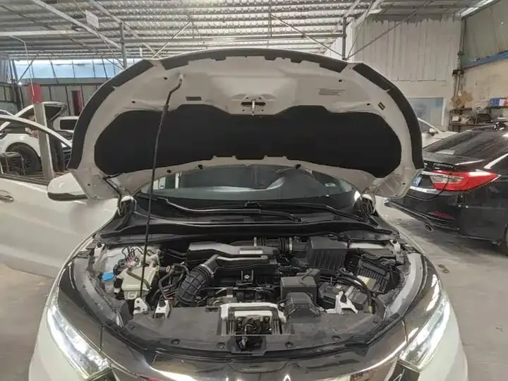 Binzhi 2020 220 TURBO CVT Deluxe Edition 16