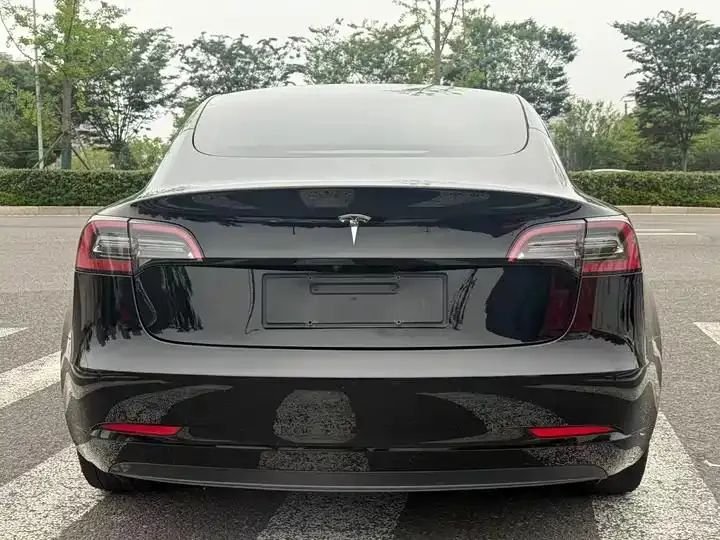Model 3 2021 model facelift standard endurance rear drive upgrade 3D1 10