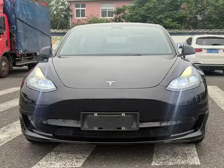 Model 3 2021 model facelift standard endurance rear drive upgrade 3D1 2