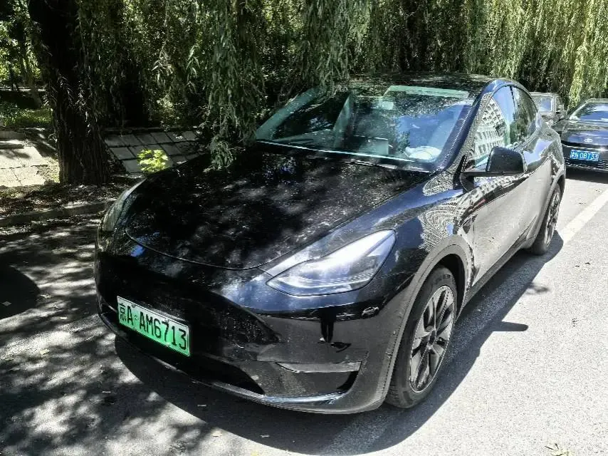 2021 Model Y Standard Range Rear-Wheel Drive Edition - View 1