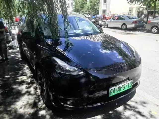 2021 Model Y Standard Range Rear-Wheel Drive Edition 2