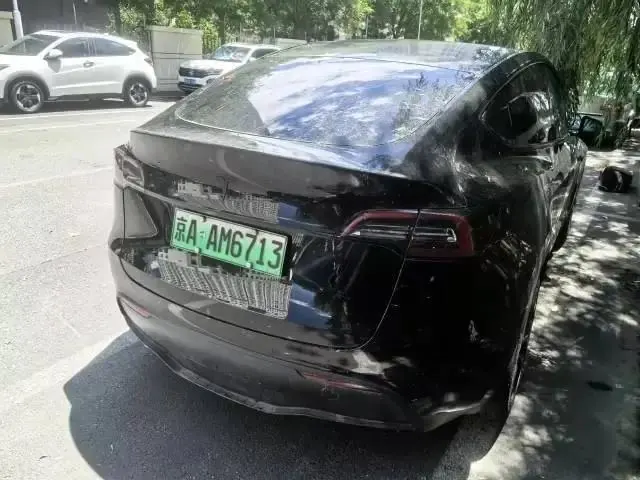 2021 Model Y Standard Range Rear-Wheel Drive Edition 3