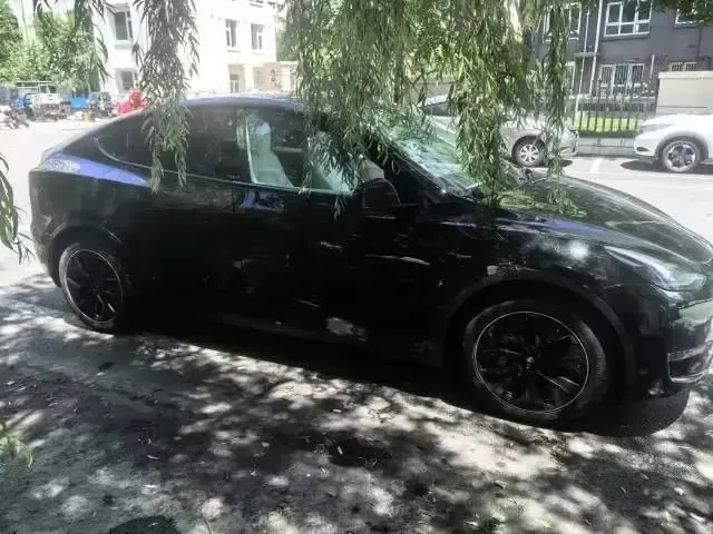 2021 Model Y Standard Range Rear-Wheel Drive Edition 6