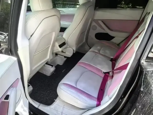 2021 Model Y Standard Range Rear-Wheel Drive Edition 7