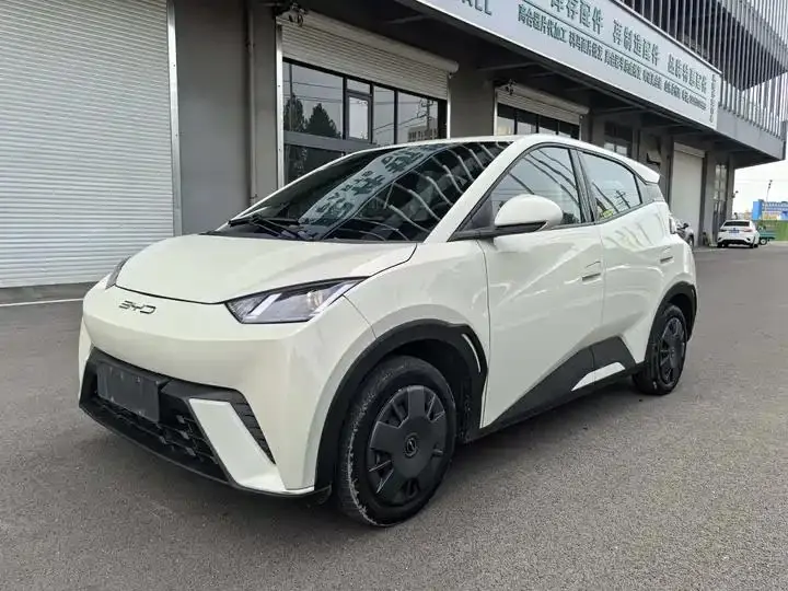 Seagull 2024 Glory Edition 305km Vital Edition - View 1