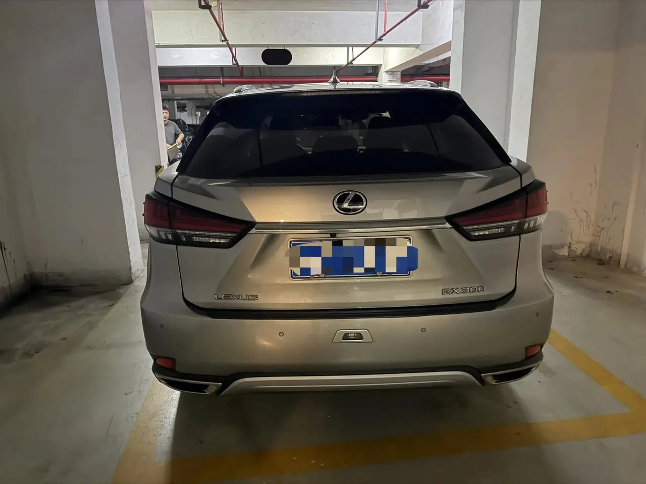 Lexus RX 2020 15000.00g Drive Comfort Edition Country V 6