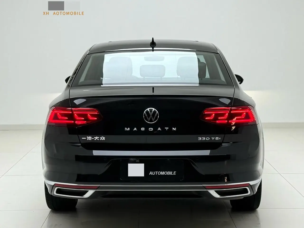 Magotan 2020 330TSI DSG Luxury Edition 5