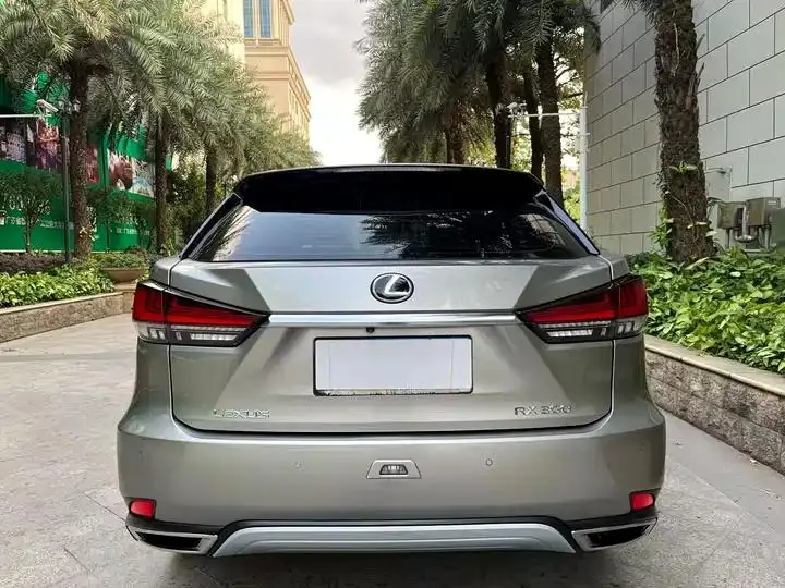Lexus RX 2020 15000.00g Drive Elite Edition Country VI 4