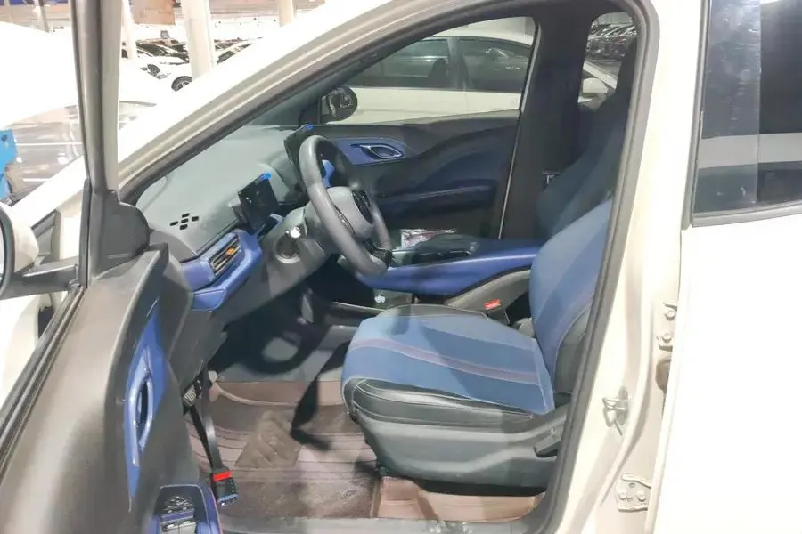 BYD 2025 Seagull Intelligent Driving Version 305km Vitality Edition Automatic Transmission 4