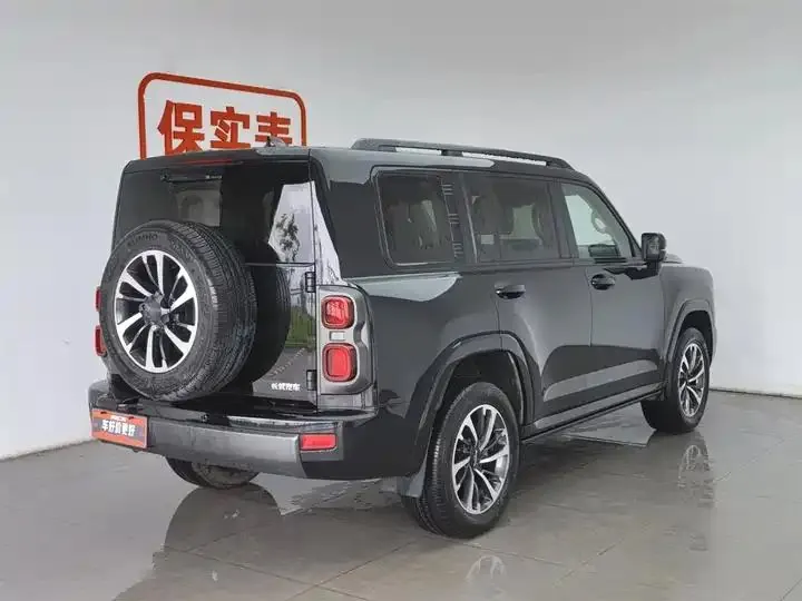 Haval H9 2024 2.0T Gasoline Four-wheel Drive Extreme Edition 2