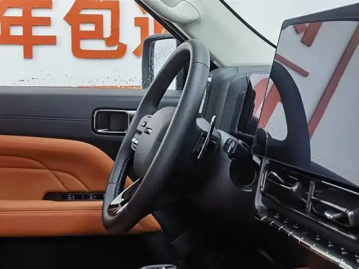 Haval H9 2024 2.0T Gasoline Four-wheel Drive Extreme Edition 22