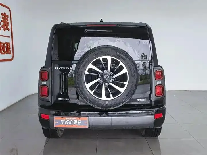 Haval H9 2024 2.0T Gasoline Four-wheel Drive Extreme Edition 4