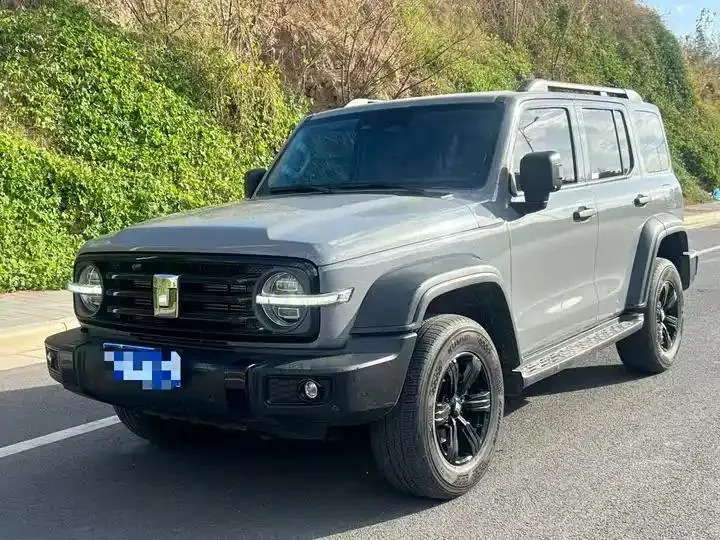 Tank 300 2021 Off-road Edition 2.0T Conqueror - View 1