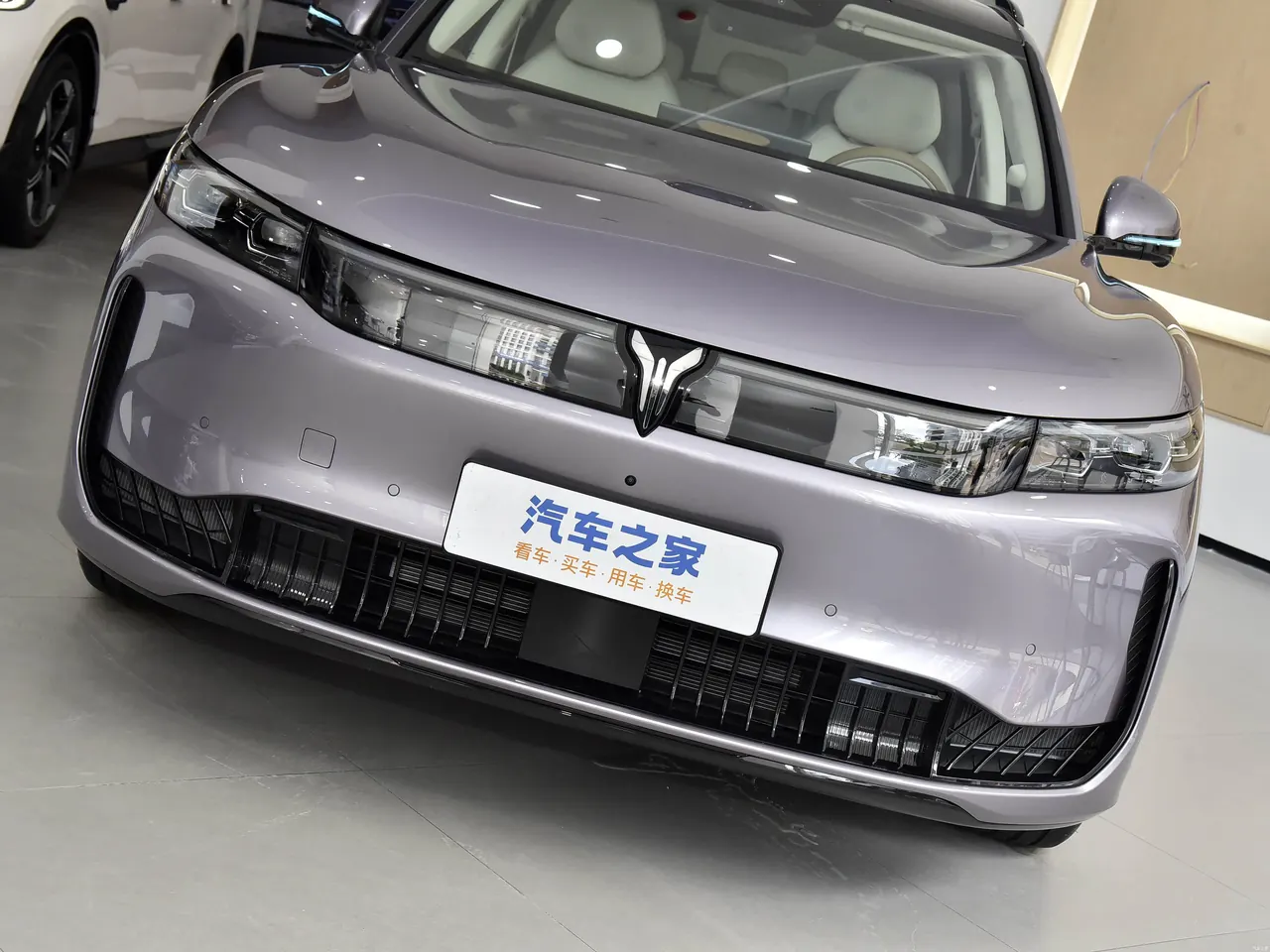 Voyah FREE 2025 FREE Rear Drive Dry Kun Edition 6