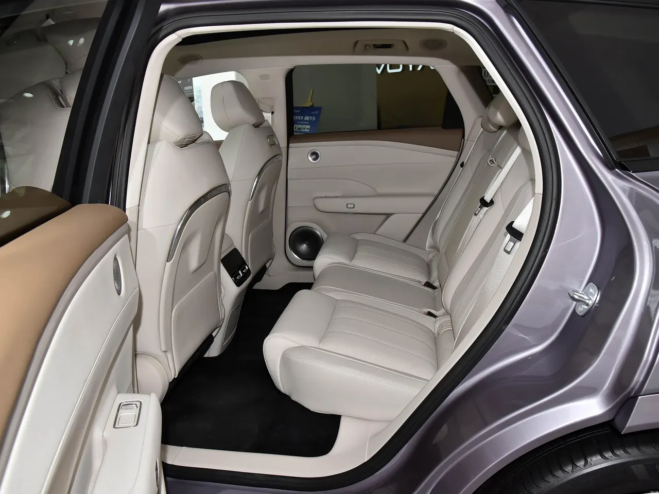 Voyah FREE 2025 FREE Rear Drive Dry Kun Edition 10