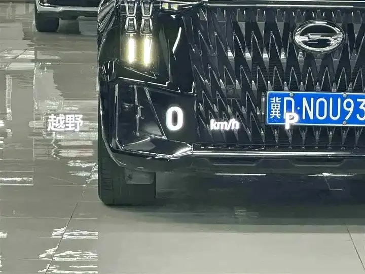 Chuanqi GS8 2022 Dual Engine Series 2.0TM 4-wheel Drive Premium Edition (7 seats) 25