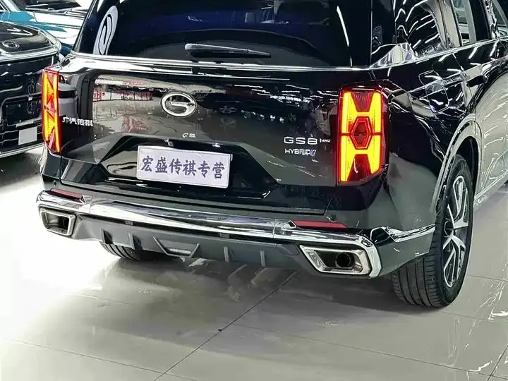 Chuanqi GS8 2022 Dual Engine Series 2.0TM 4-wheel Drive Premium Edition (7 seats) 37