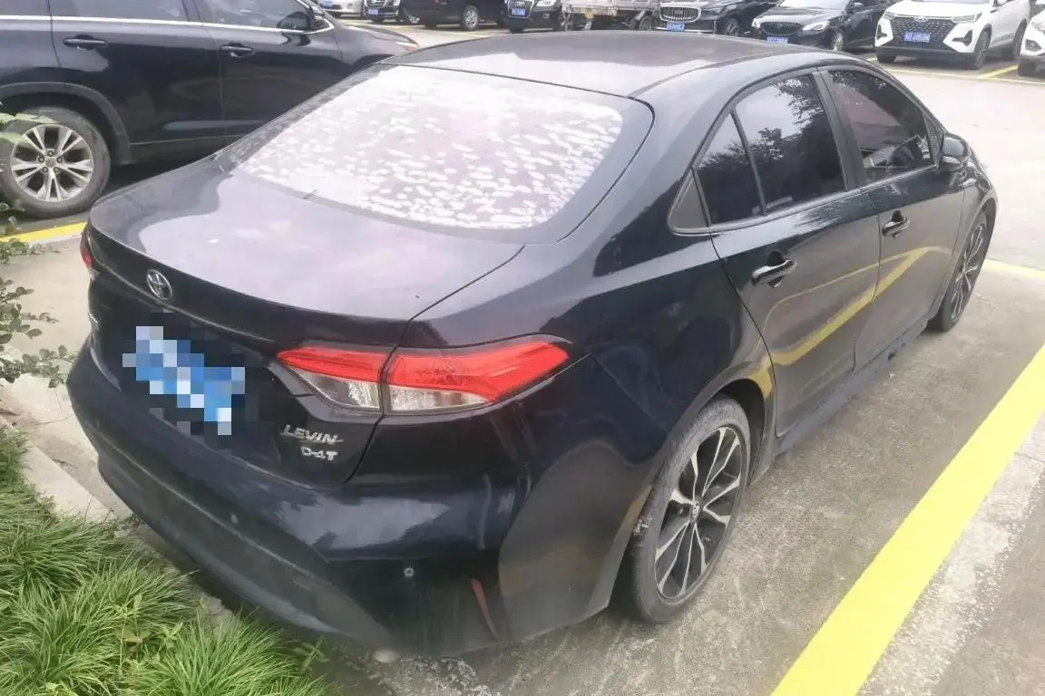 Lei Ling 2019 185T CVT Sports Edition National V 7