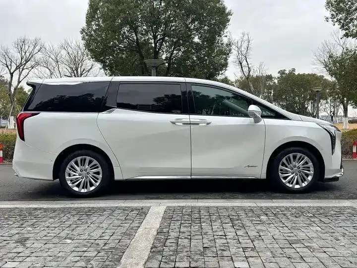 Century 2023 2.0T Six-seat World Edition 3