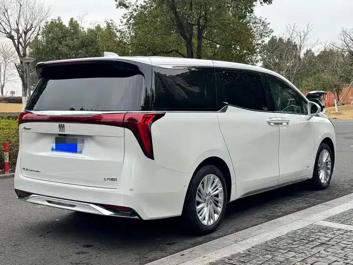 Century 2023 2.0T Six-seat World Edition 4