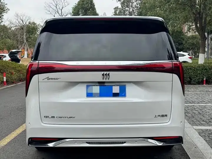 Century 2023 2.0T Six-seat World Edition 5