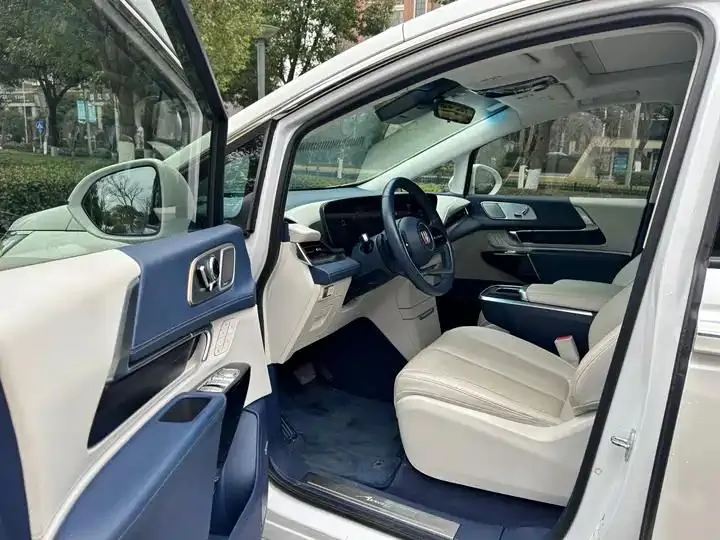 Century 2023 2.0T Six-seat World Edition 6