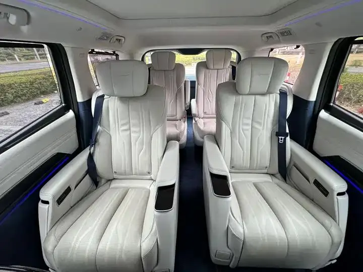 Century 2023 2.0T Six-seat World Edition 9