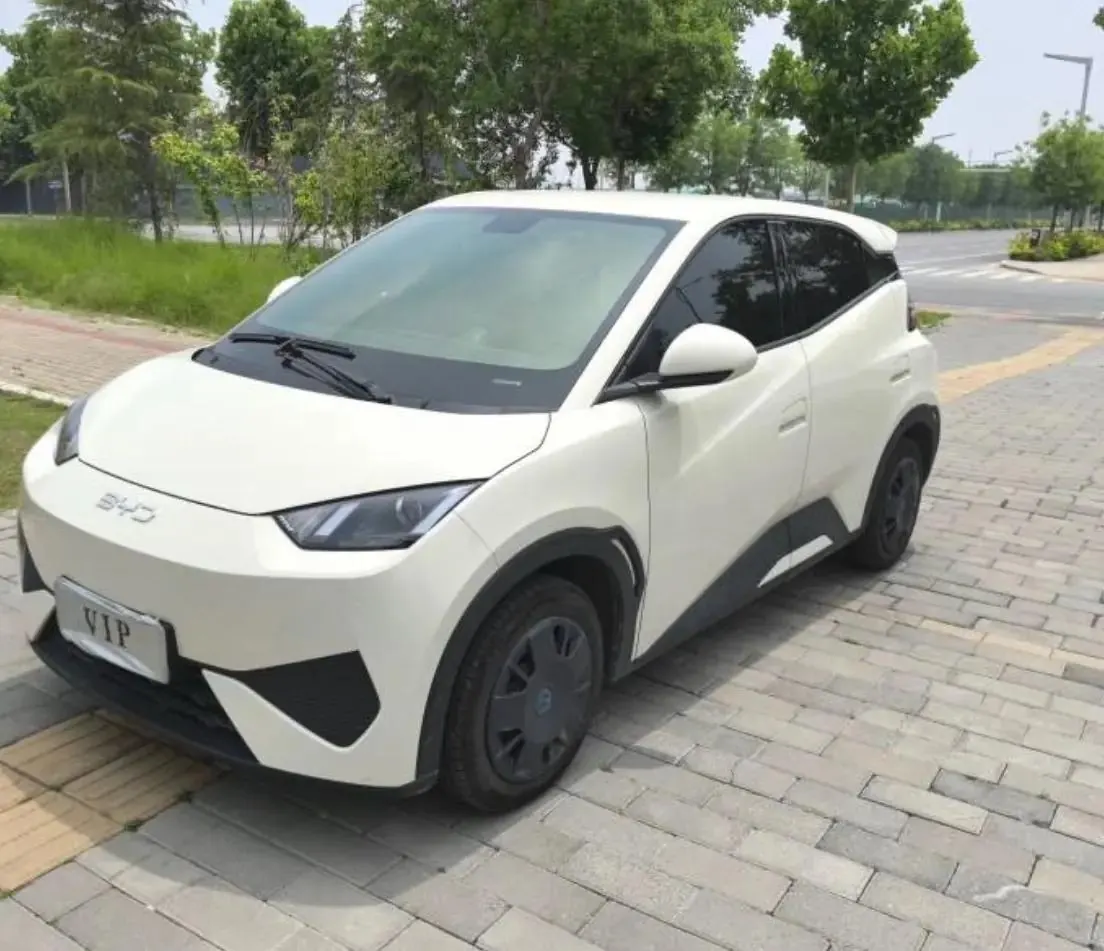 BYD 2025 Seagull Intelligent Driving Version 305km Vitality Edition Automatic Transmission - View 1
