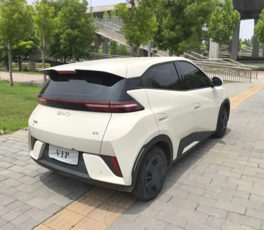 BYD 2025 Seagull Intelligent Driving Version 305km Vitality Edition Automatic Transmission 4