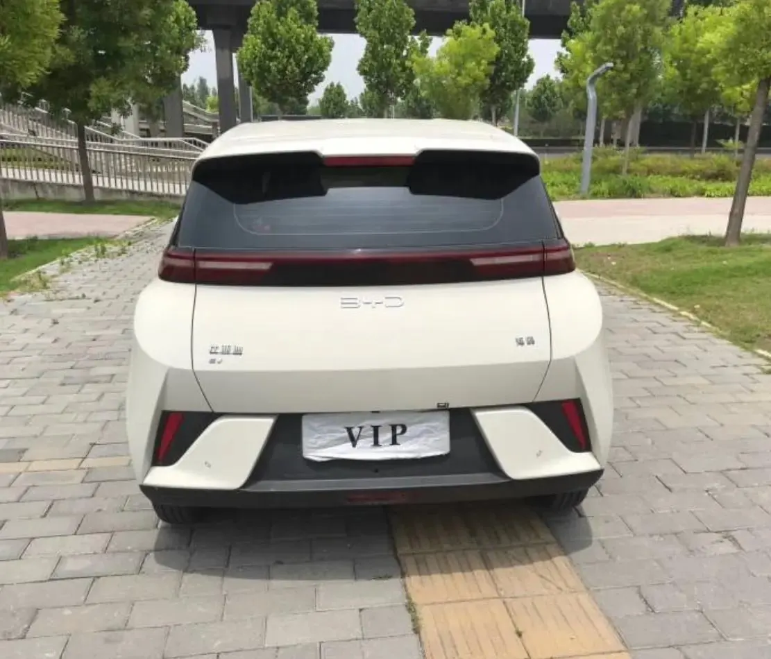 BYD 2025 Seagull Intelligent Driving Version 305km Vitality Edition Automatic Transmission 5