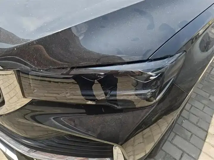 XingyueL (Monjaro) 2021 model, 2.0TD DCT EVO, two-wheel-drive flagship version 5