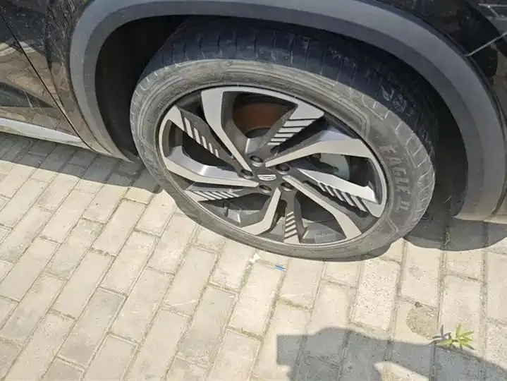XingyueL (Monjaro) 2021 model, 2.0TD DCT EVO, two-wheel-drive flagship version 6