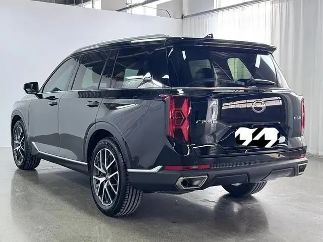 Chuanqi 2025 GS8 2.0TGDI Pilot Series Two-Drive Deluxe Edition 5-seat Automatic Gear 7