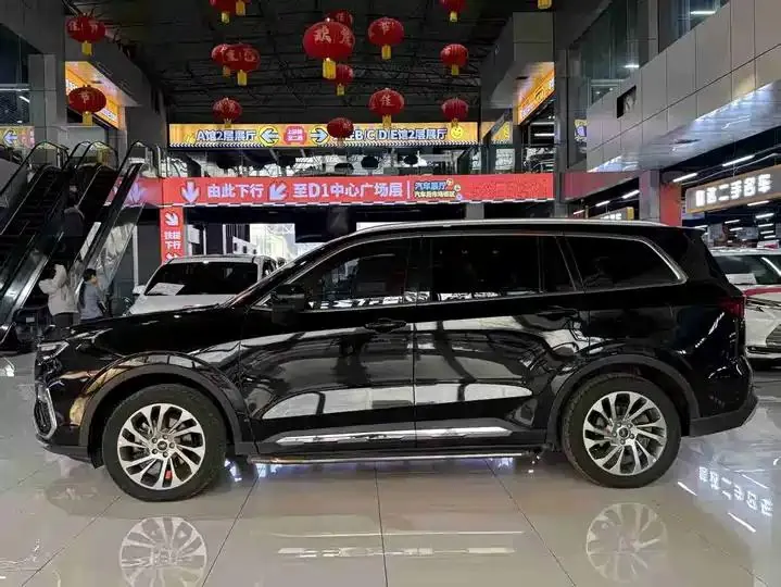 Lingyu 2023 EcoBoost 225 Zunling 7 seats (2/2/3) 5