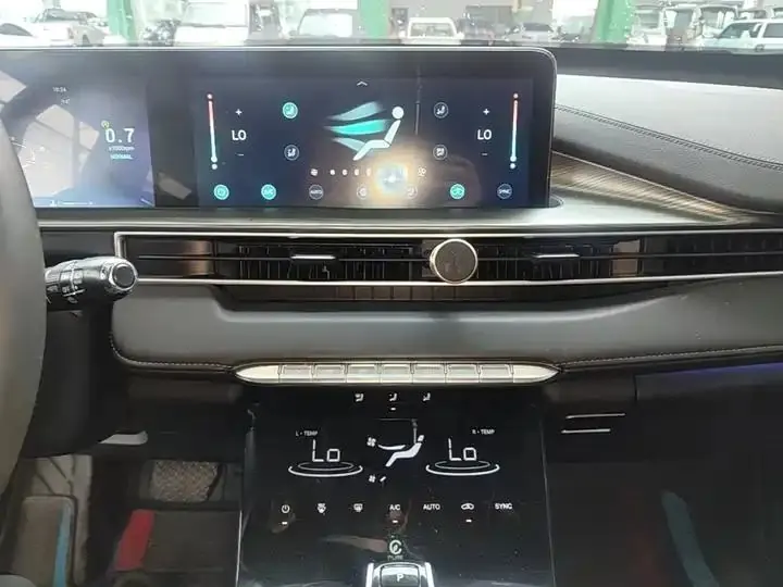Ruihu 8 PLUS 2022 290TGDI DCT Pride Edition 13