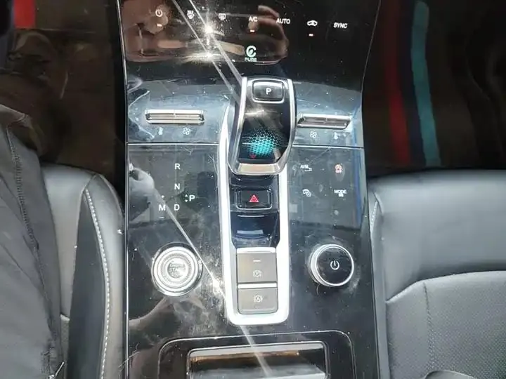 Ruihu 8 PLUS 2022 290TGDI DCT Pride Edition 14
