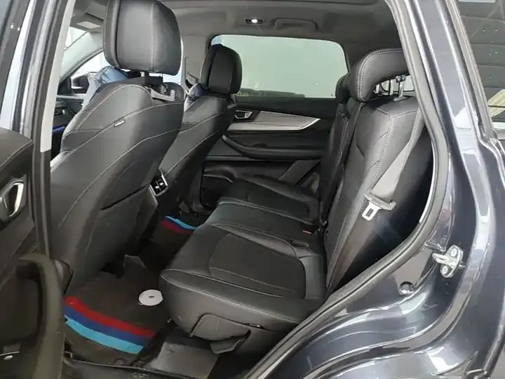 Ruihu 8 PLUS 2022 290TGDI DCT Pride Edition 17
