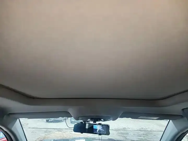 Ruihu 8 PLUS 2022 290TGDI DCT Pride Edition 18