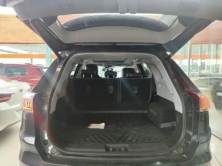 Ruihu 8 PLUS 2022 290TGDI DCT Pride Edition 19