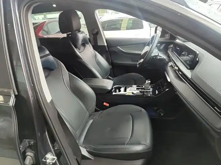 Ruihu 8 PLUS 2022 290TGDI DCT Pride Edition 25