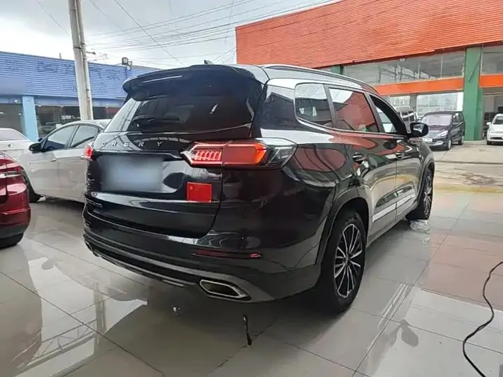 Ruihu 8 PLUS 2022 290TGDI DCT Pride Edition 7